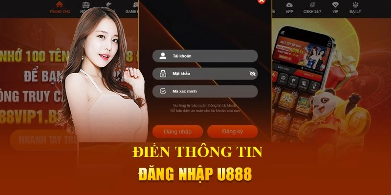 Điều các dữ liệu đăng nhập mà hệ thống yêu cầu